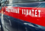 Тело новорожденного ребенка нашли в Вологде возле гаражей на улице Кирова