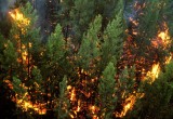 Во время сезона охоты вологодские леса будут усиленно патрулировать инспекторы пожарной охраны