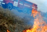 Два дачных дома сгорели в Вологодской области из-за пала травы