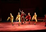 Цирк да и только! Вологжане получили Гран-При на фестивале в Санкт-Петербурге