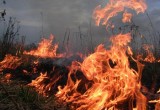 За три недели 200 травяных пожаров произошло в Вологодской области