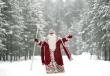 Вологжане могут стать участниками виртуального оркестра Деда Мороза