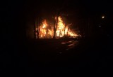 В Вологде сгорел деревянный дом