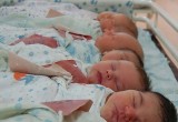 Выросла рождаемость в Вологодской области