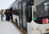 В Вологде повысится стоимость проезда?