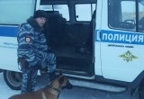 В Вологде служебная собака помогла задержать вора