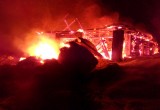 В Вологодской области сгорела ферма вместе со всеми обитателями