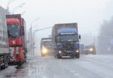 Движение грузовиков по дорогам Вологодчины ограничат с 10 апреля