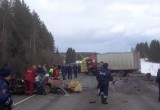 Автокатастрофа, в которой погиб человек, произошла сегодня в Вологодском районе (фото)