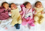За прошлый год на Вологодчине родилось около 4 тысяч внебрачных детей