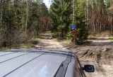 Пропавшая семья из Петербурга найдена в лесах Вологодской области