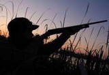 Сотрудники Росгвардии привлекли к ответственности охотника, стрелявшего гусей