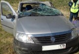 На трассе  Вологда-Новая Ладога произошла серьезная авария