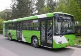 В Вологде и Череповце на Троицу запустят дополнительные автобусы до кладбищ 