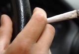 В Вологде водителей-наркоманов лишат прав 