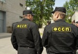 Житель Вашкинского района камнем разбил голову судебному приставу