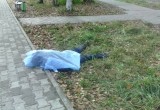 Под Петербургом жестоко убили вологжанина