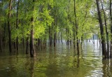 Вологодской области угрожают паводки на реках