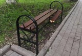 В Вологде вандалы надругались над скамейками и клумбами