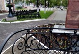 В Вологде вандалы спилили влюбленных голубей в Пушкинском сквере (ФОТО)
