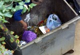 В селе Сямжа неизвестные украли мусорный контейнер