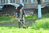 В Вологде второй раз косят траву на газонах