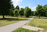 На следующей неделе в Вологде начнут благоустраивать Ковыринский парк