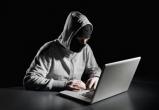 Интернет-экстремиста поймала полиция в Череповце