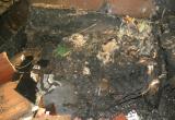 В расселенном доме Вологды заживо сгорел бывший хозяин квартиры