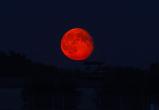 С 9 часов вечера вологжане увидят лунное затмение
