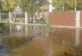 Под Череповцом в деревне Вичелово вода затопила три сотни домов
