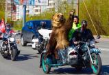 Гастролирующий  медведь-байкер проедет по улицам Вологды и поприветствует горожан