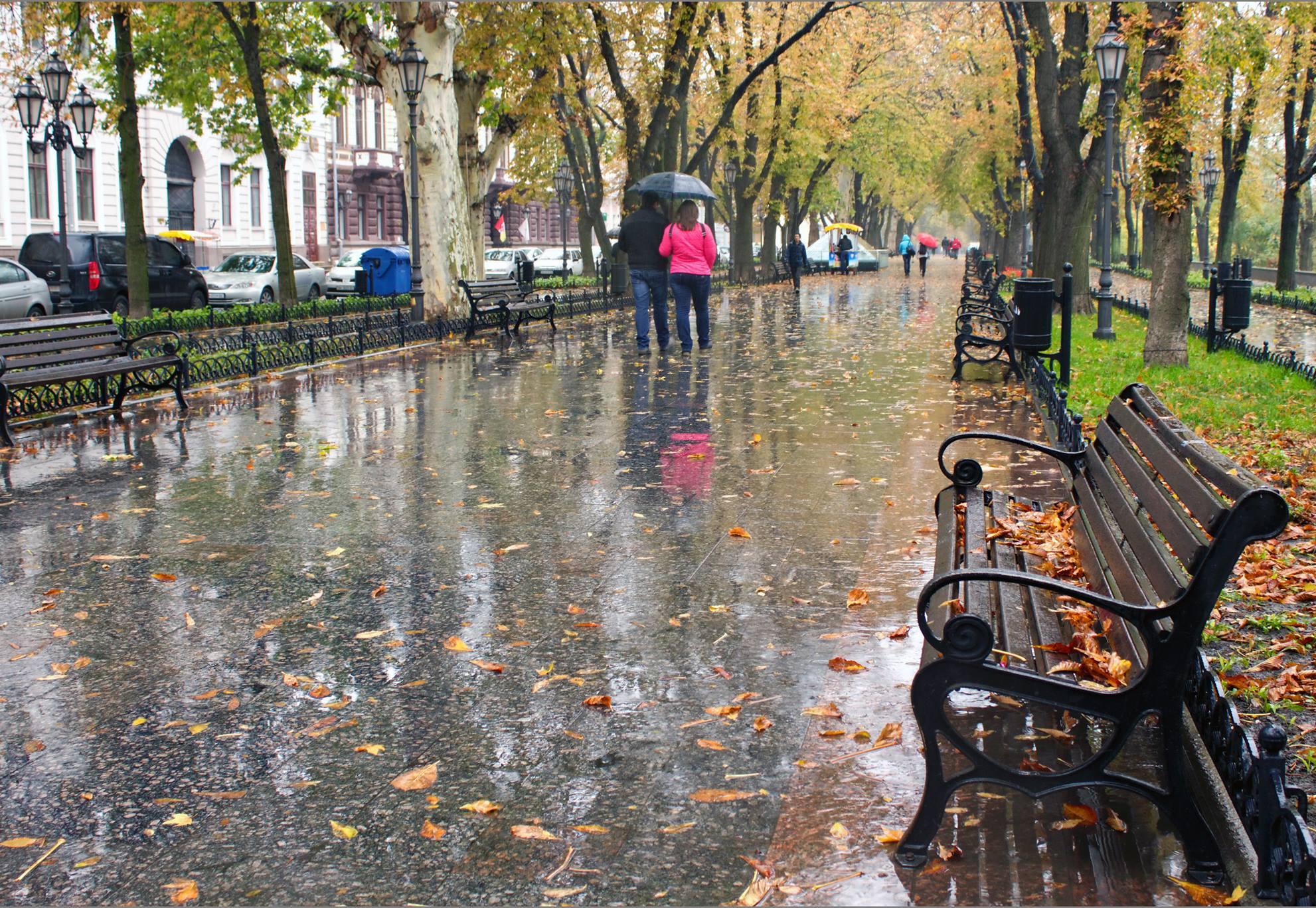 Дожди в Вологде не прекратятся до среды