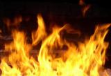 В Череповце сожгли микроавтобус «Фольксваген Мультивен»