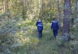 Пенсионерки, заговоренные лесом, найдены