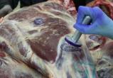 Вологодский ветеринар пропускал на рынок мясо без проверки