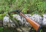 В Архангельской области местный житель застрелил вологжанина