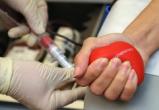В Вологде срочно ищут доноров крови 1-3 групп