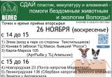 Помочь бездомным кошкам и собакам можно сегодня в Вологде