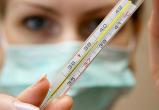 Пневмония унесла жизни более 80 жителей Вологодской области