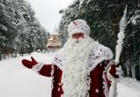 Российский Дед Мороз расплачивается только шишками