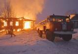 58 особей домашней скотины живьем сгорели в Вологодской области