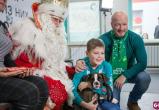 Великоустюгский Дед Мороз подарил щенка боксера сироте из-под Саратова