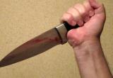 В Тотемском районе убийца напал на супругов с ножом и ножницами