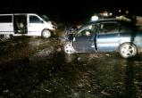 Двое детей и двое взрослых пострадали в аварии на трассе в Великоустюгском районе (ФОТО)