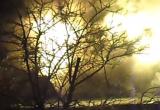 Крупный пожар произошел вечером на даче под Вологдой (ВИДЕО)