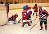 Юные хоккеисты из Вологды и Рыбинска будут бороться за Кубок Мэра Вологды