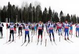 Вологодские лыжники поборются за победу в марафоне на Комеле 