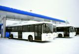 Вологда закупила 10 новых автобусов на газомоторном топливе
