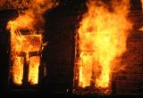 В Шекснинском районе сгорел дом, версия поджога не исключается 